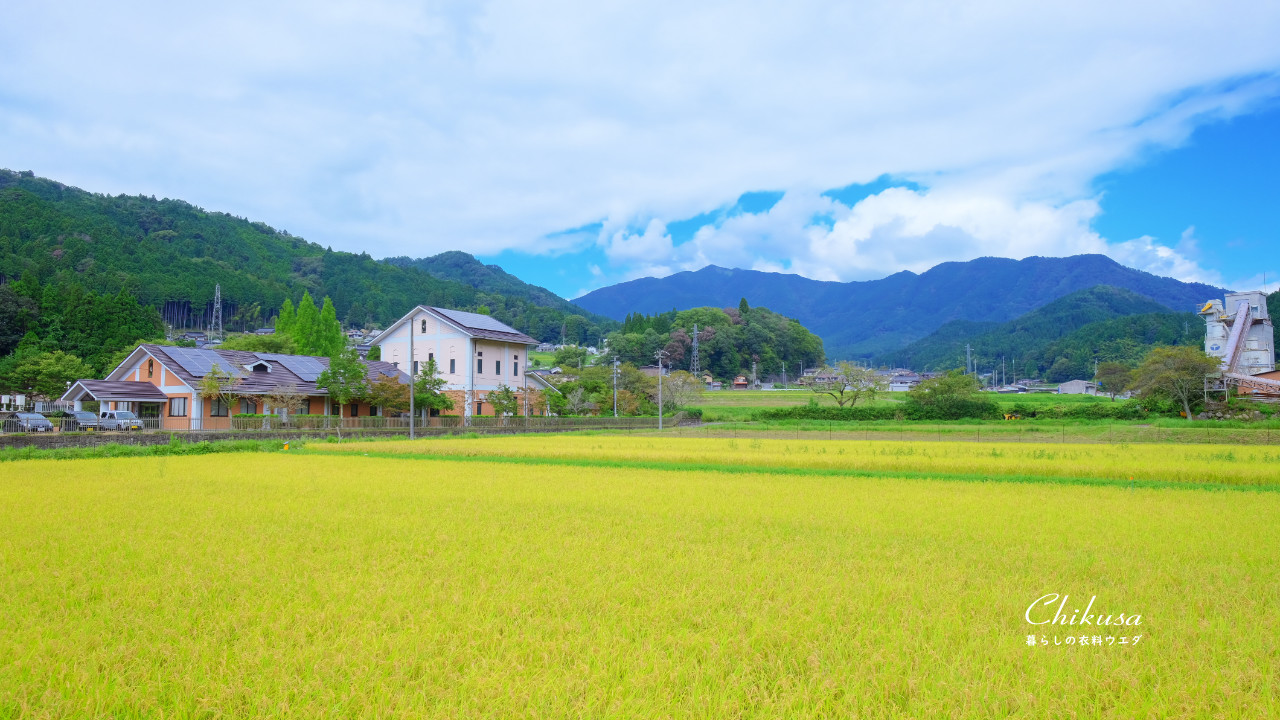 宍粟市千種町田んぼ風景