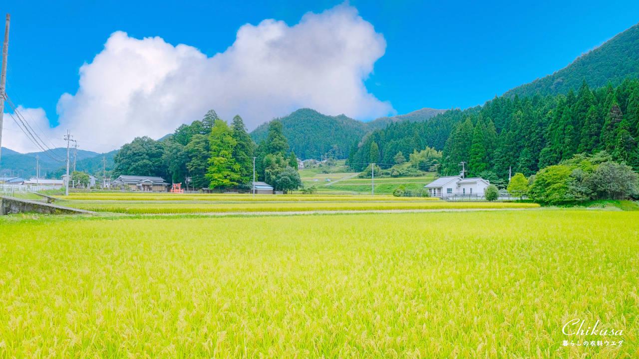 宍粟市千種町田園風景