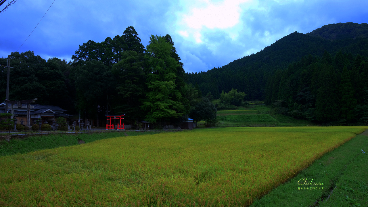 宍粟市千種町田園風景