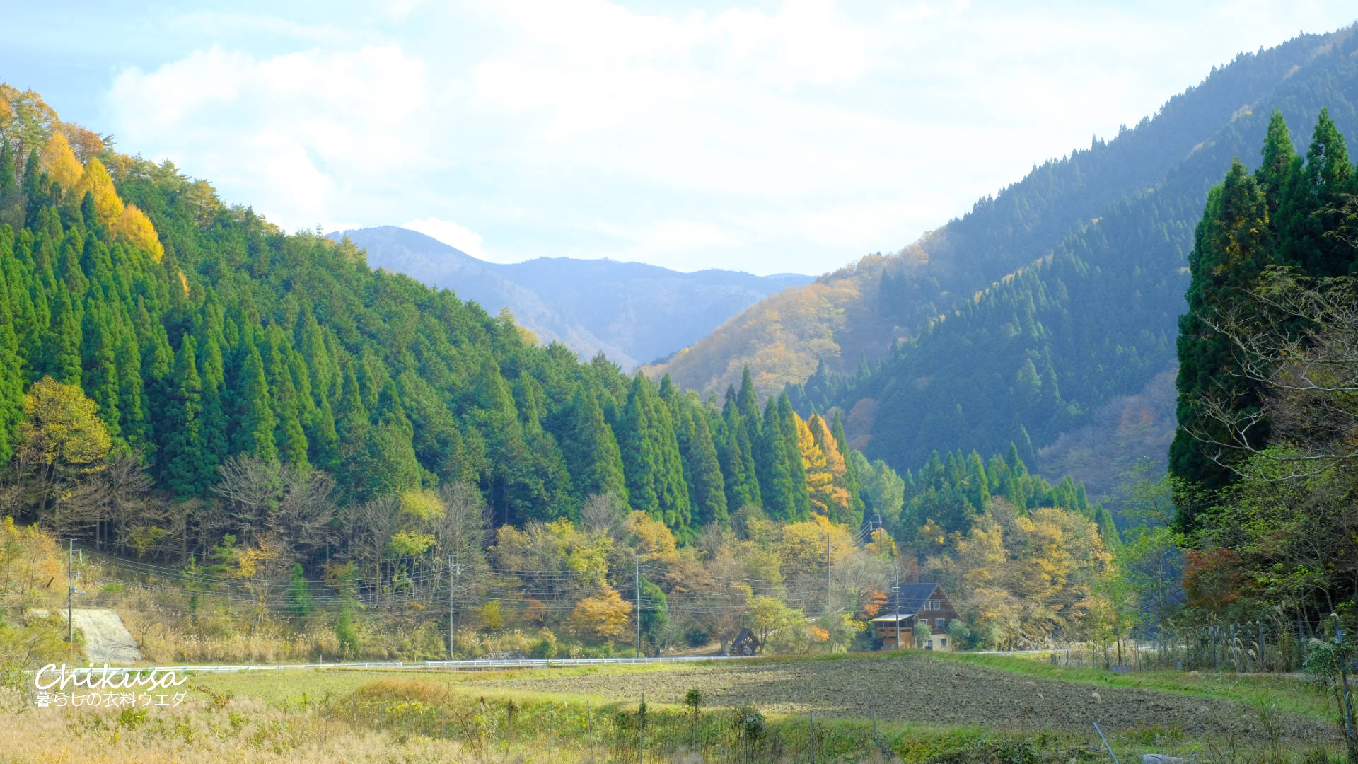 千種町　秋の風景写真