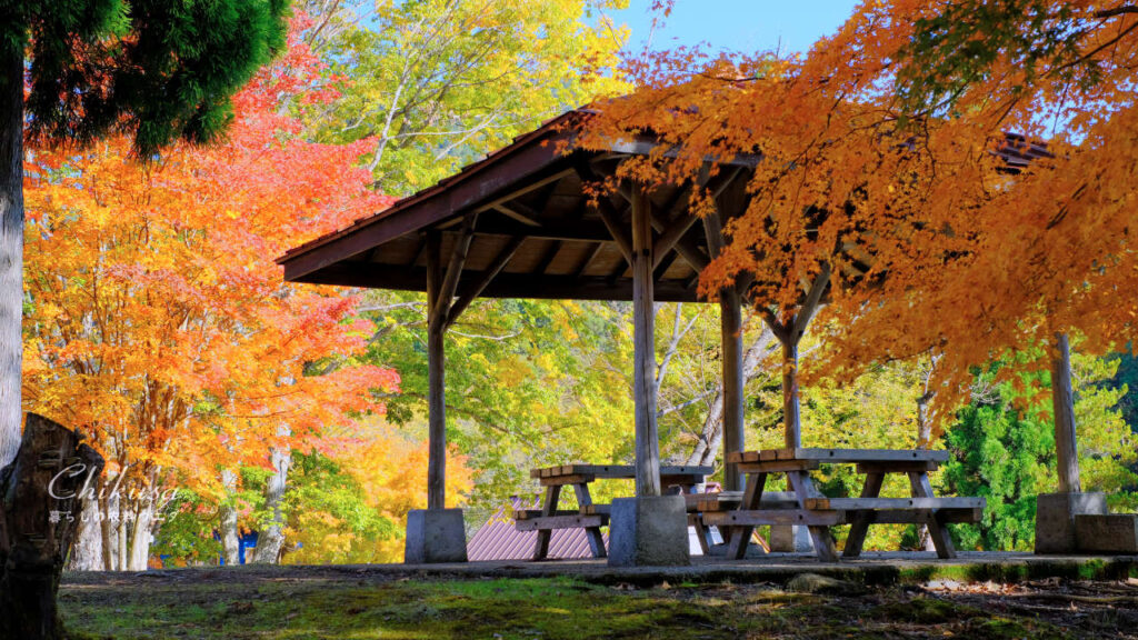 ちくさ高原キャンプ場マウンテンビレッジ