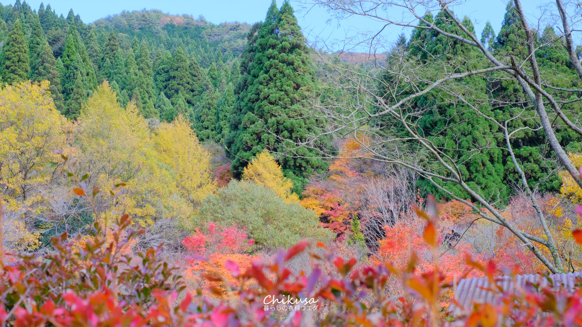 千種町　秋の風景写真