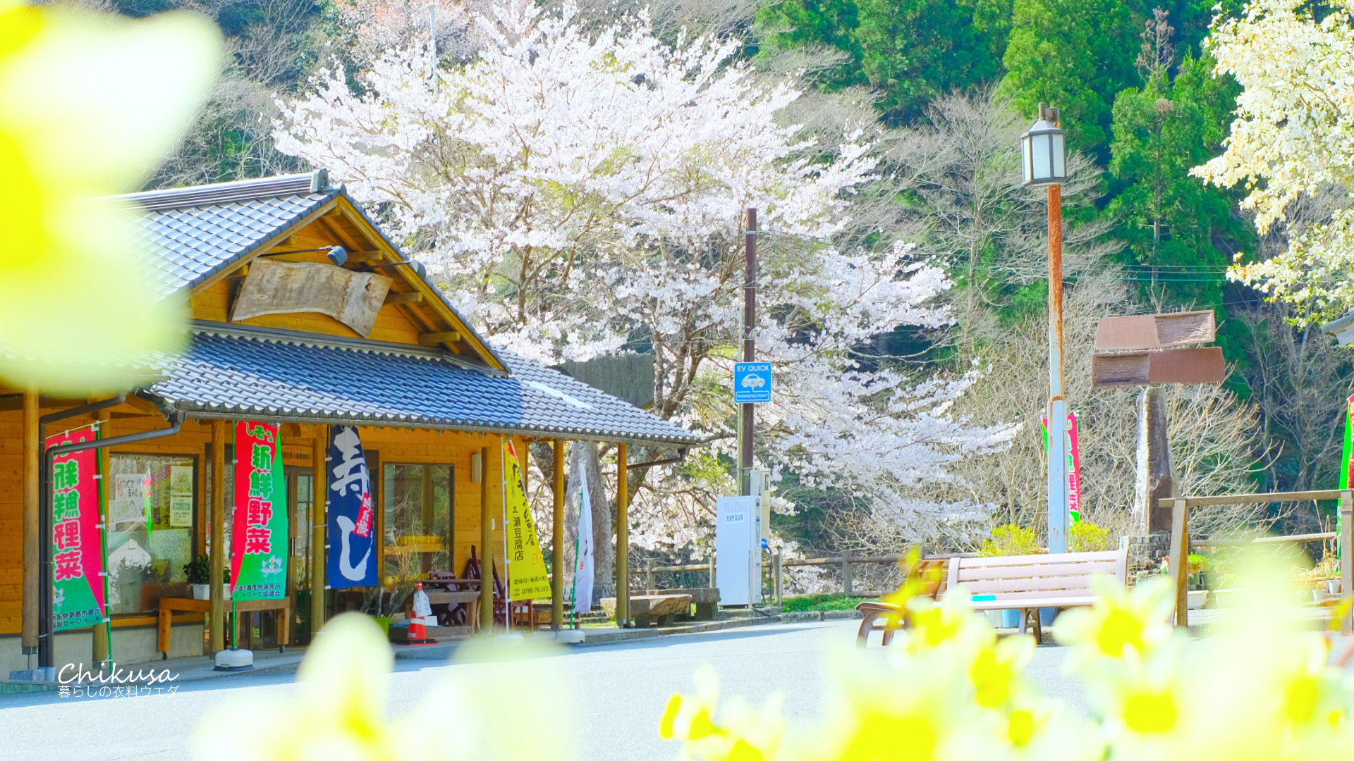 道の駅ちくさ　桜の写真