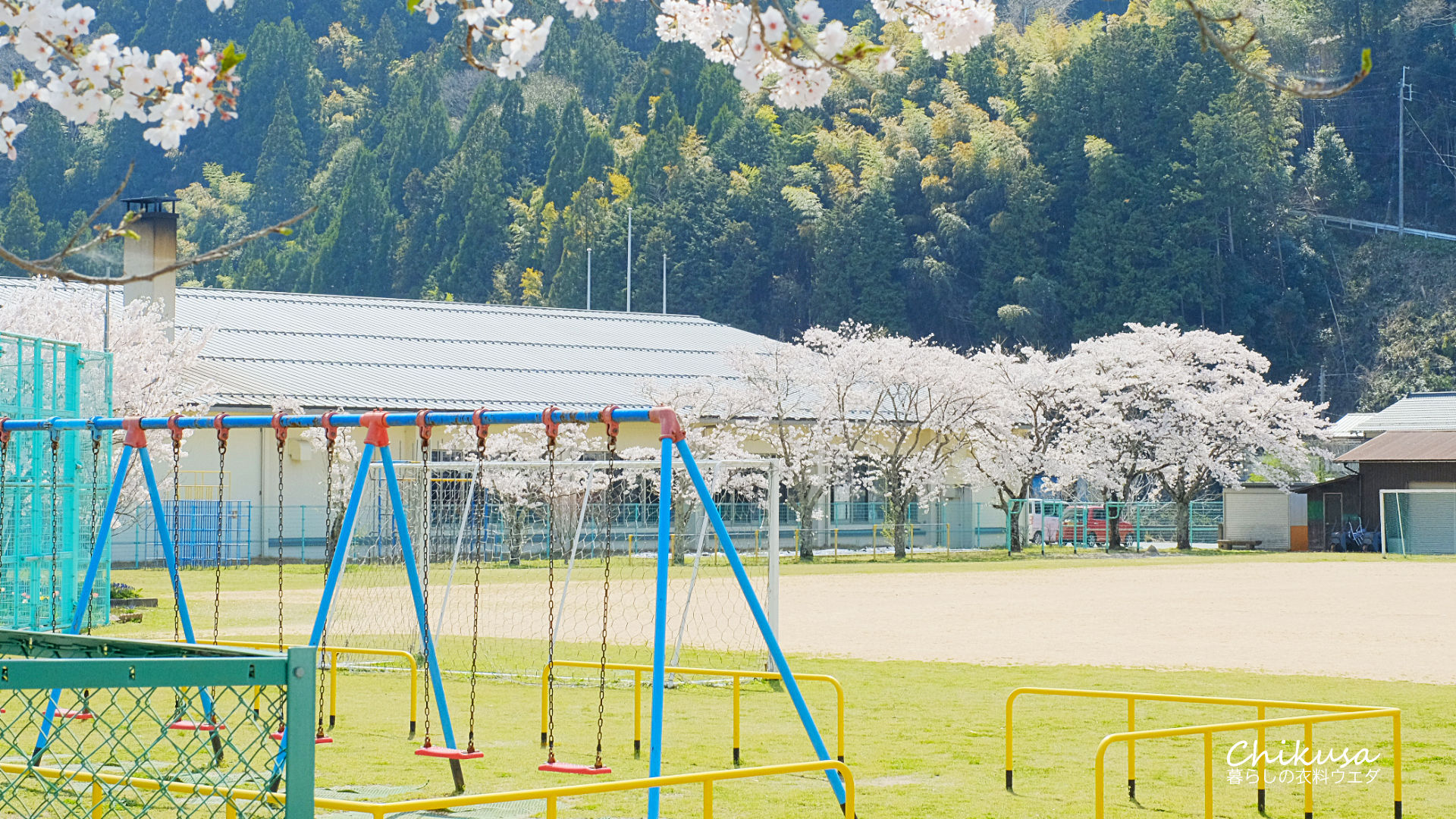 千種小学校の桜
