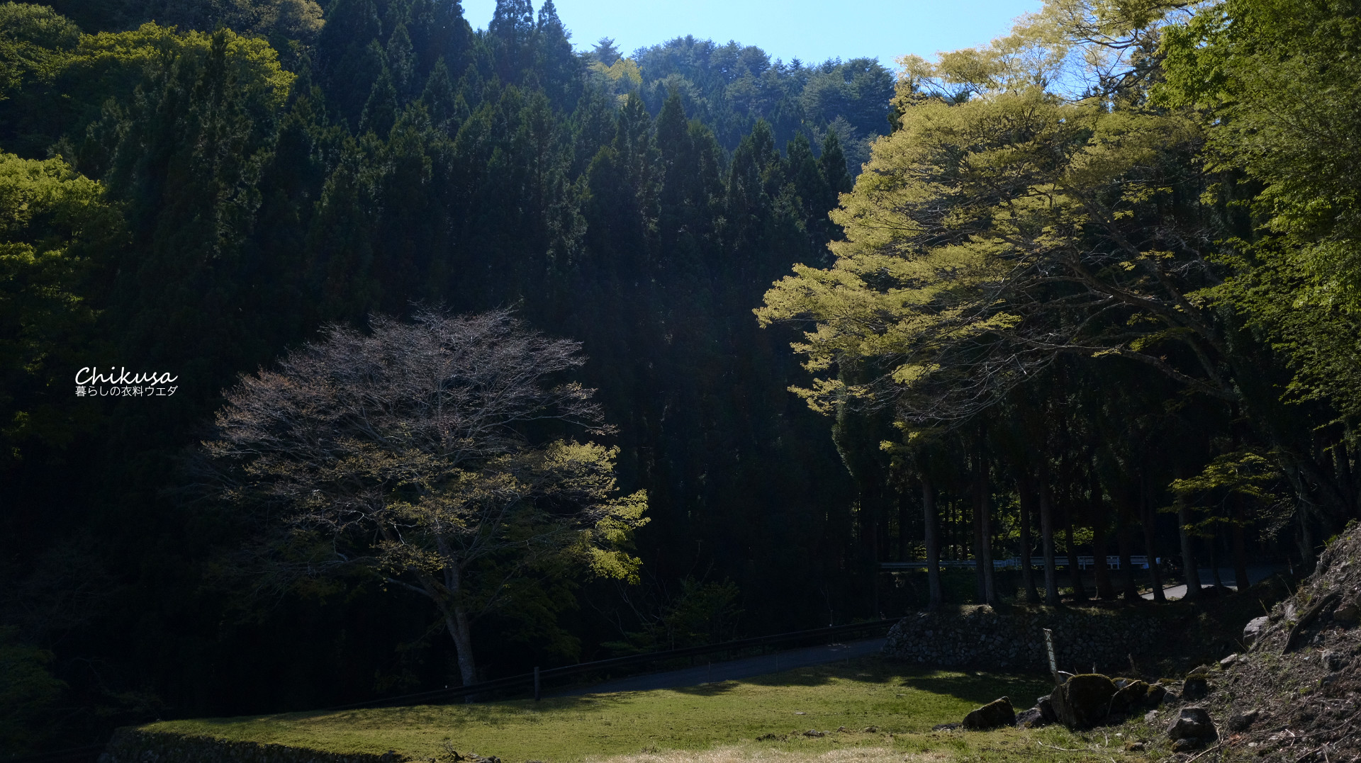 富士フイルム FUJIFILM カメラ：X-T20 レンズ：XF35mmF1.4 R 兵庫県宍粟市千種町西河内