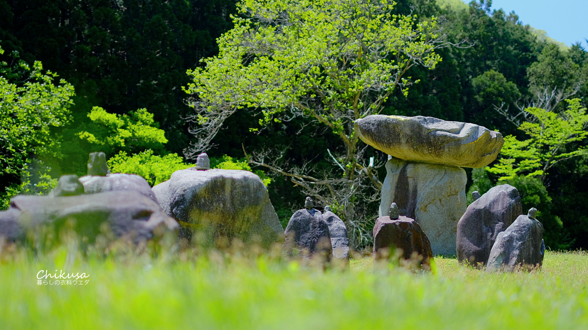 富士フイルム FUJIFILM カメラ：X-T20 レンズ：XF35mmF1.4 R 兵庫県宍粟市千種町西河内