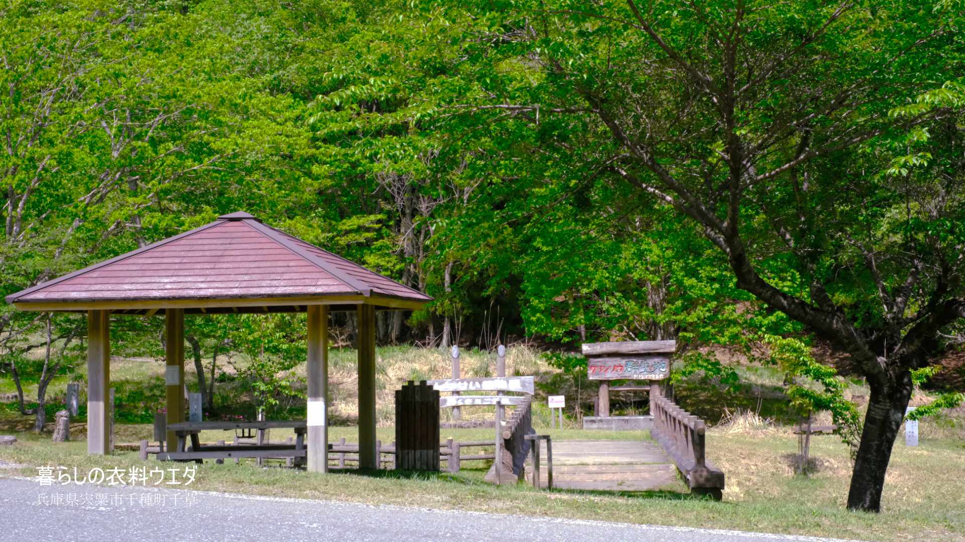 千種町クリンソウ湿原 富士フイルム FUJIFILM