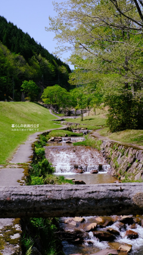 千種町クリンソウ湿原 富士フイルム FUJIFILM