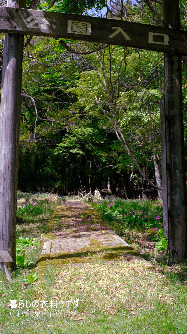 千種町クリンソウ湿原 富士フイルム FUJIFILM