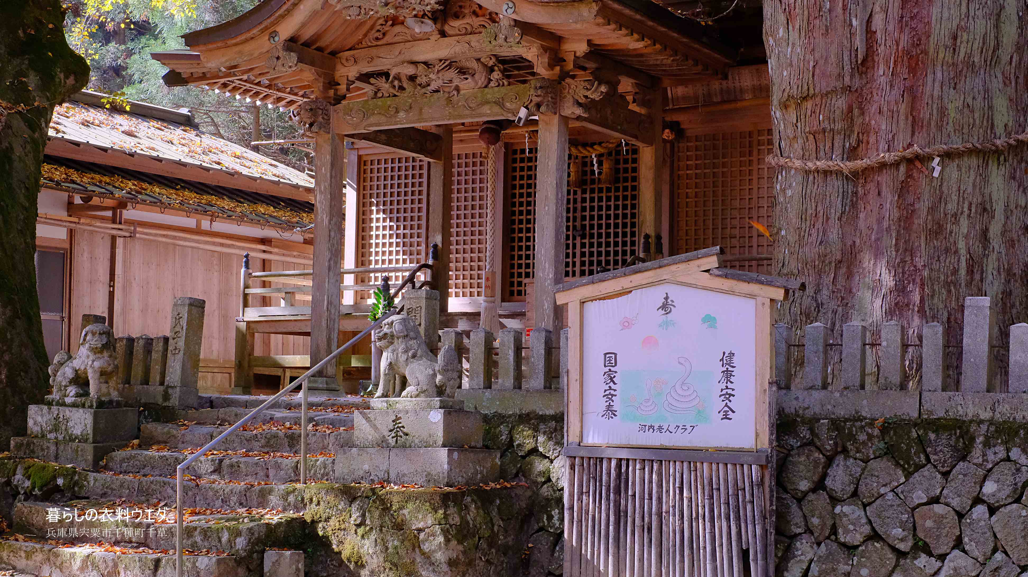 X-T5&XF35mmF1.4Rベルビア作例 中ノ宮神社