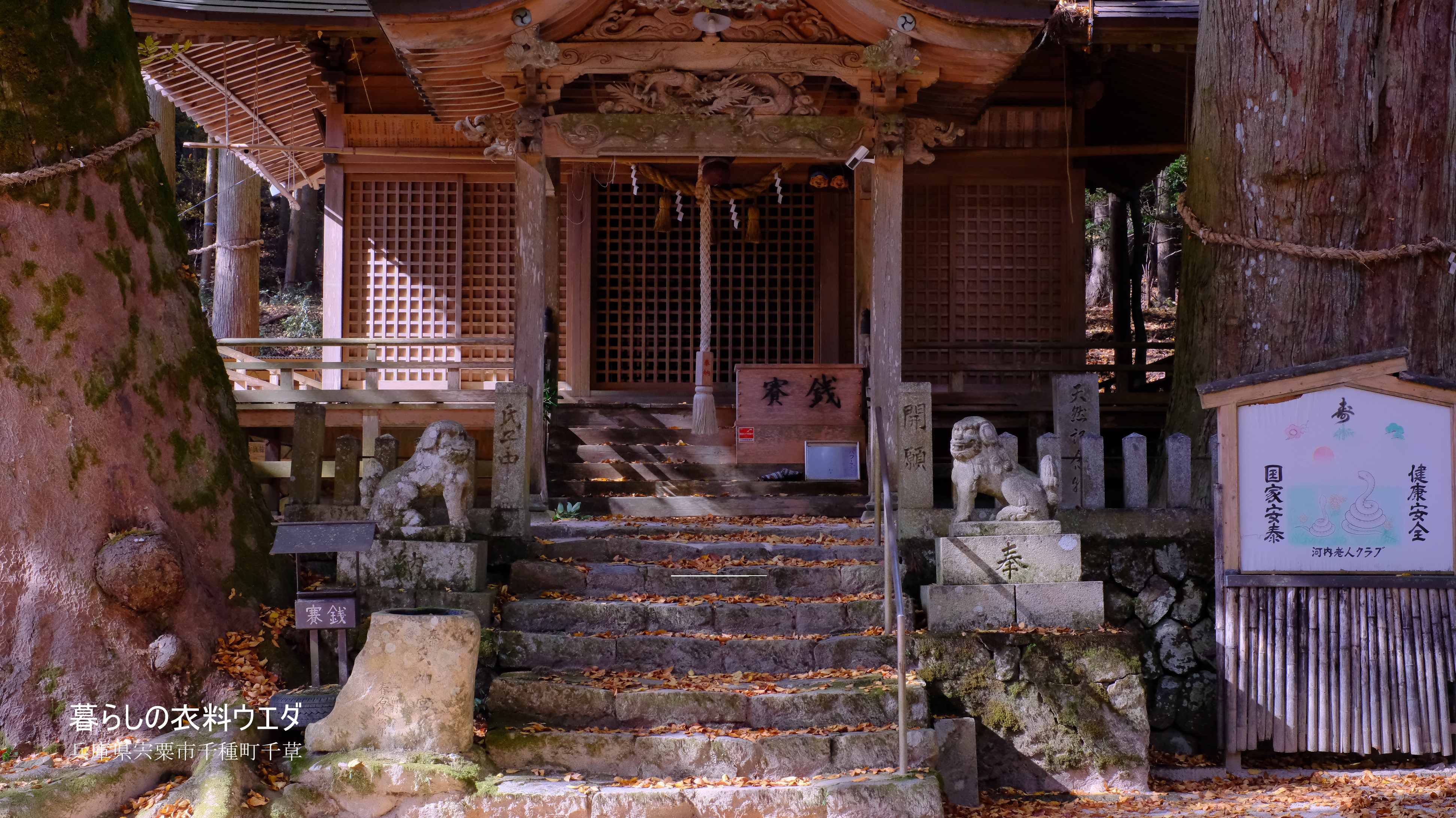 X-T5&XF35mmF1.4Rベルビア作例 中ノ宮神社