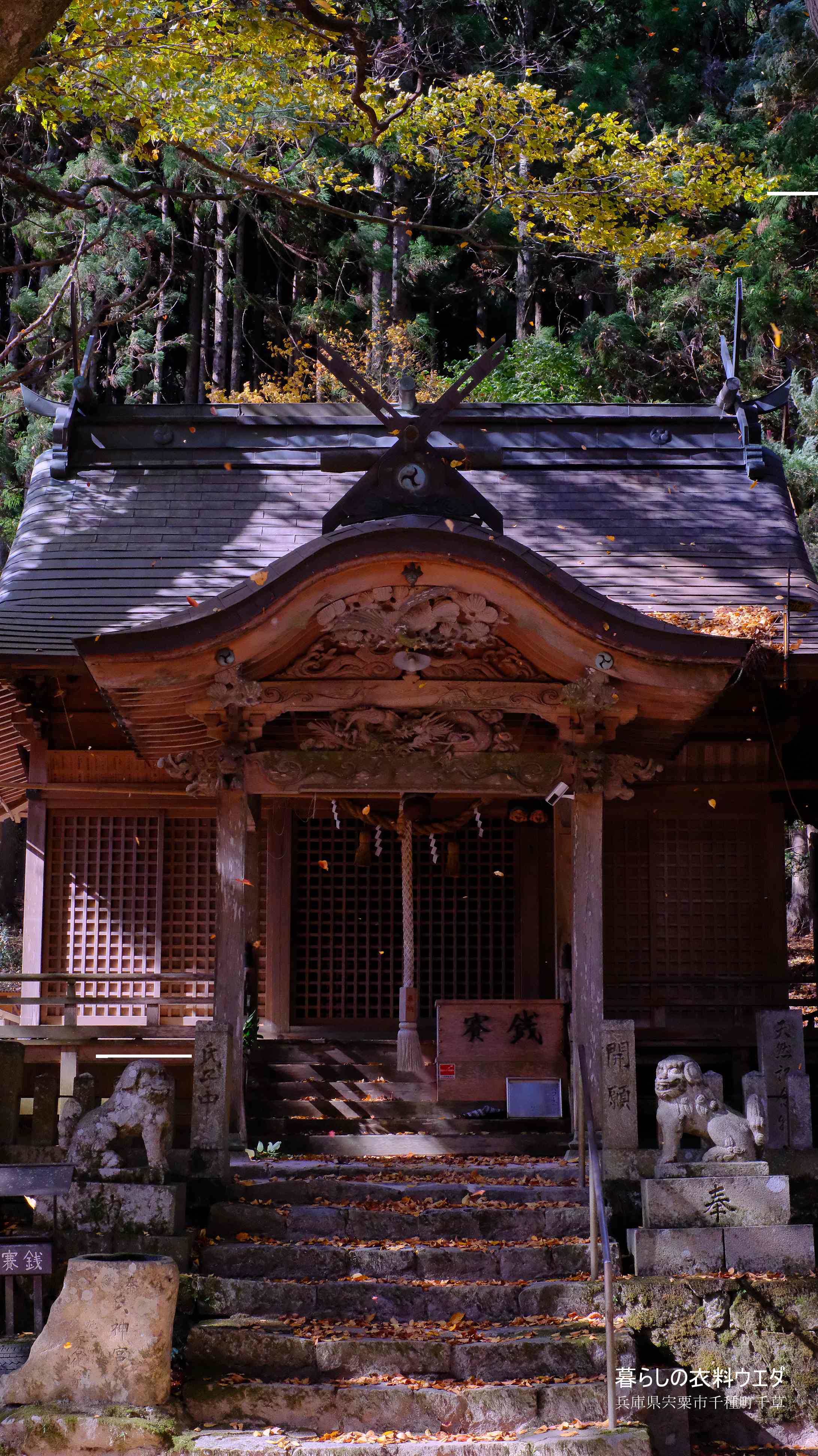 X-T5&XF35mmF1.4Rベルビア作例 中ノ宮神社