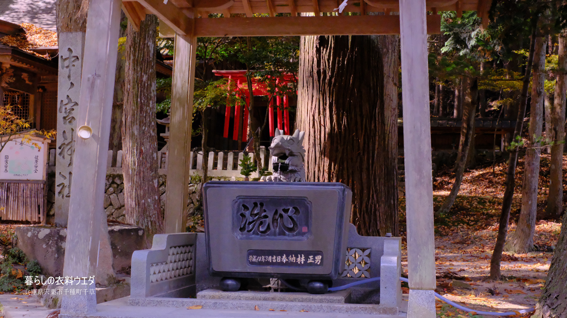 X-T5&XF35mmF1.4Rベルビア作例 龍神