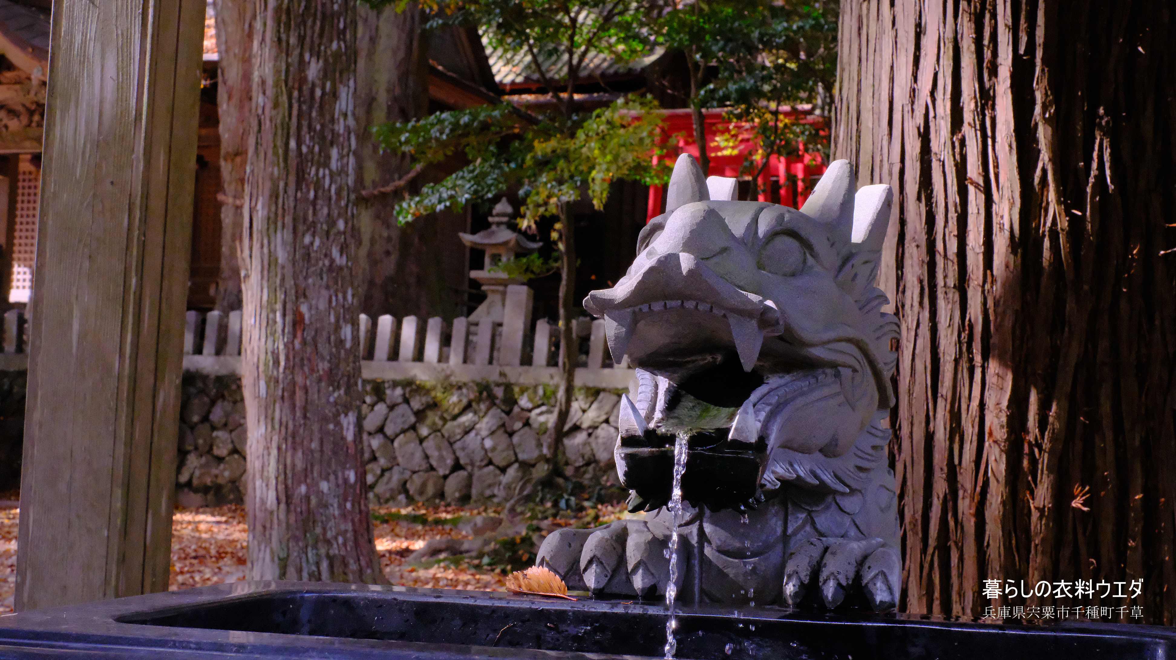 X-T5&XF35mmF1.4Rベルビア作例 龍神2