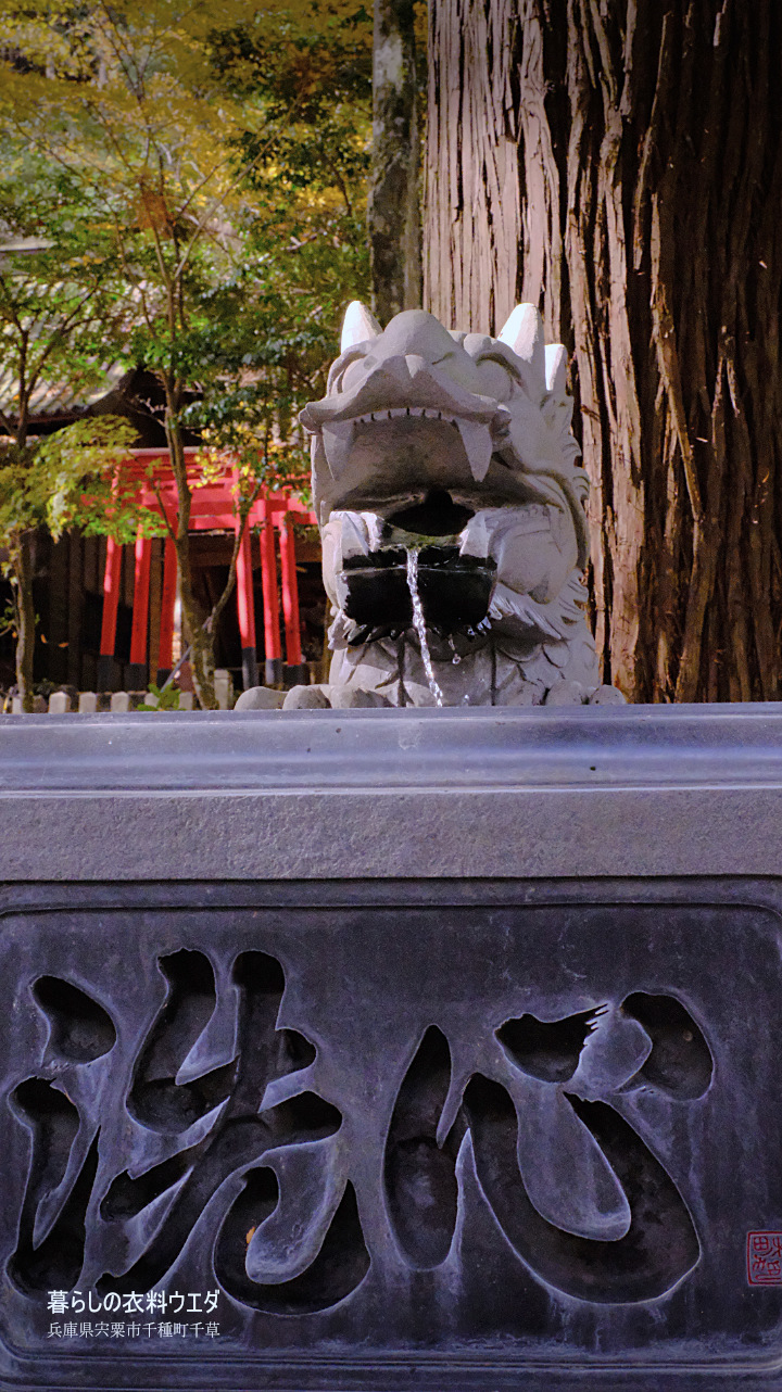 X-T5&XF35mmF1.4Rベルビア作例 龍神3