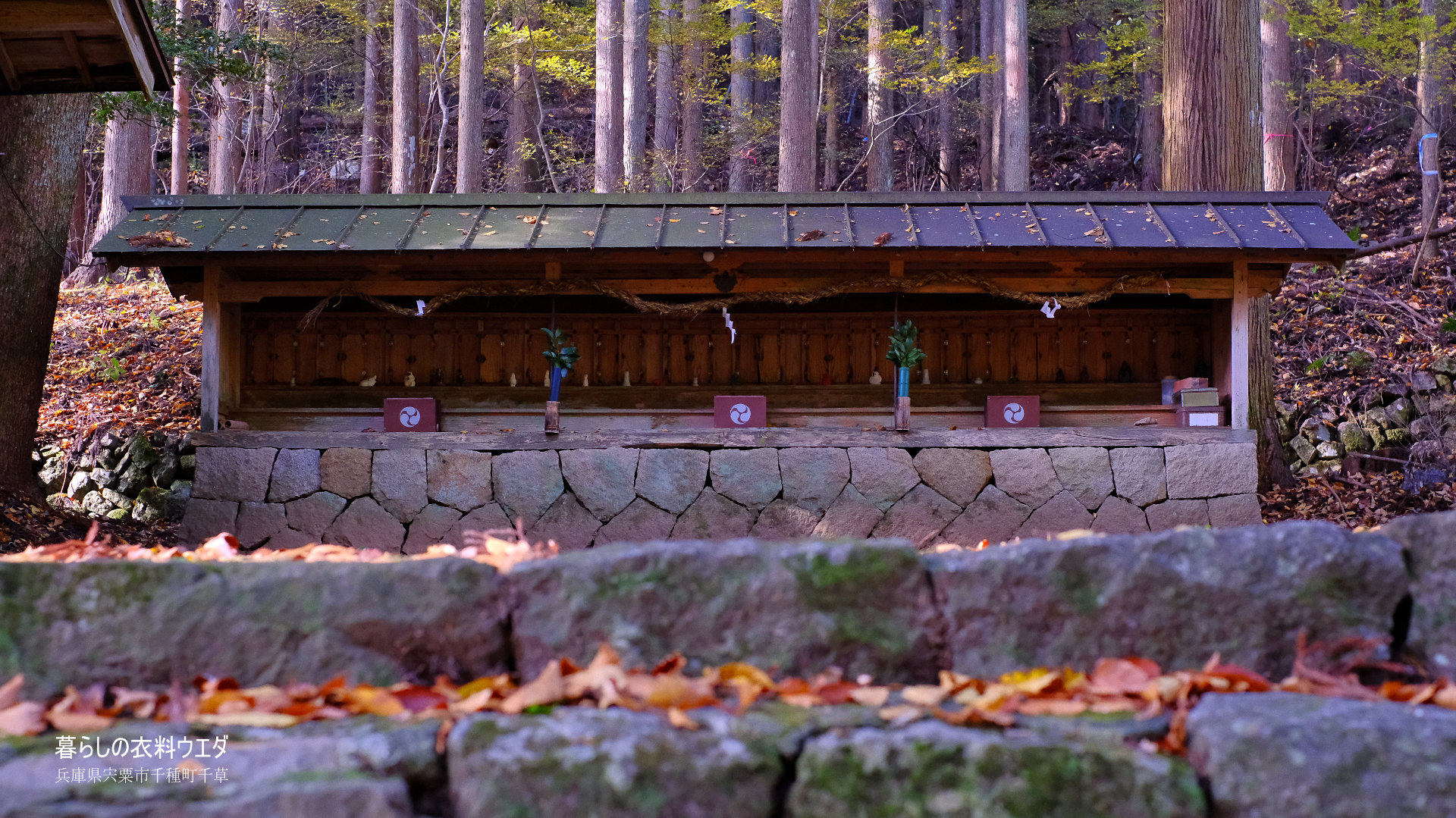 X-T5&XF35mmF1.4Rベルビア作例 中ノ宮神社