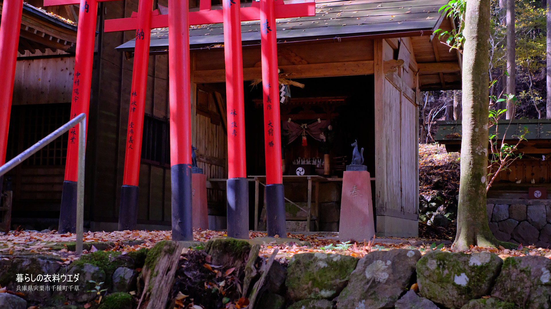 X-T5&XF35mmF1.4Rベルビア作例 中ノ宮神社鳥居