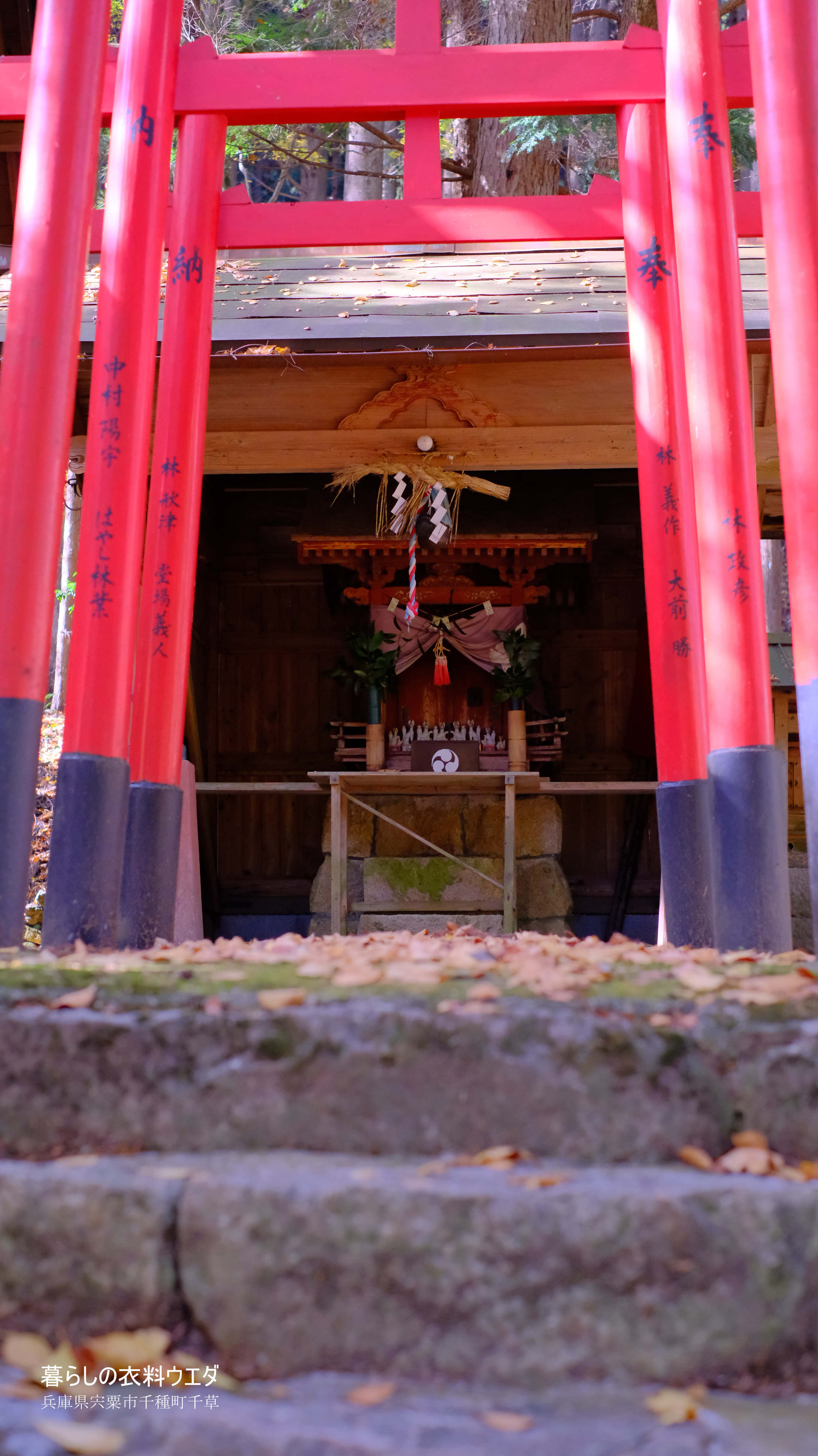 X-T5&XF35mmF1.4Rベルビア作例 中ノ宮神社
