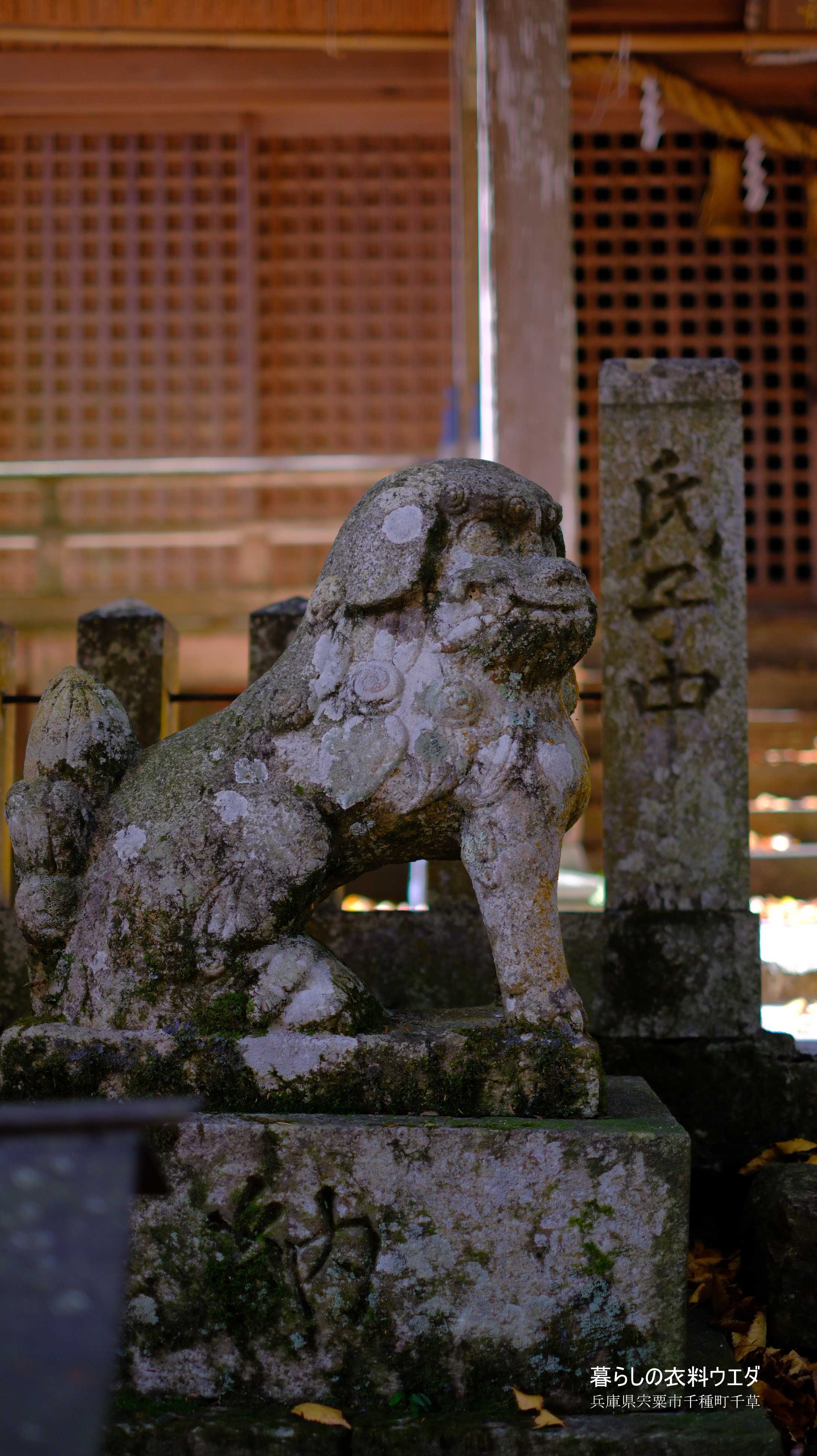 X-T5&XF35mmF1.4Rベルビア作例 こま犬左