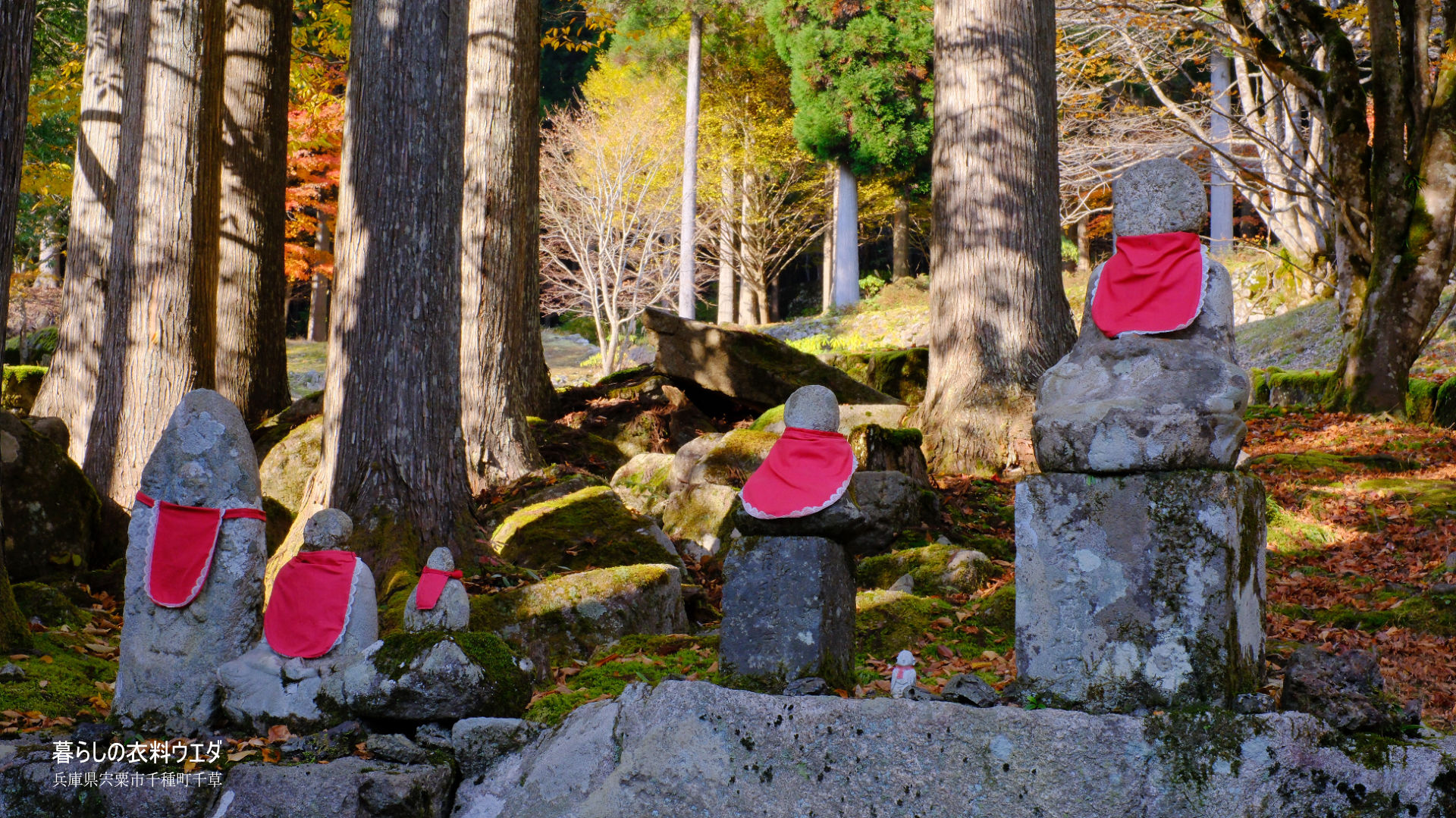 FUJIFILM【富士フイルム】X-T5・XF35mm F1.4 R・XF14mmF2.8 R・ベルビア 作例「いろんな紅葉」　お地蔵さん