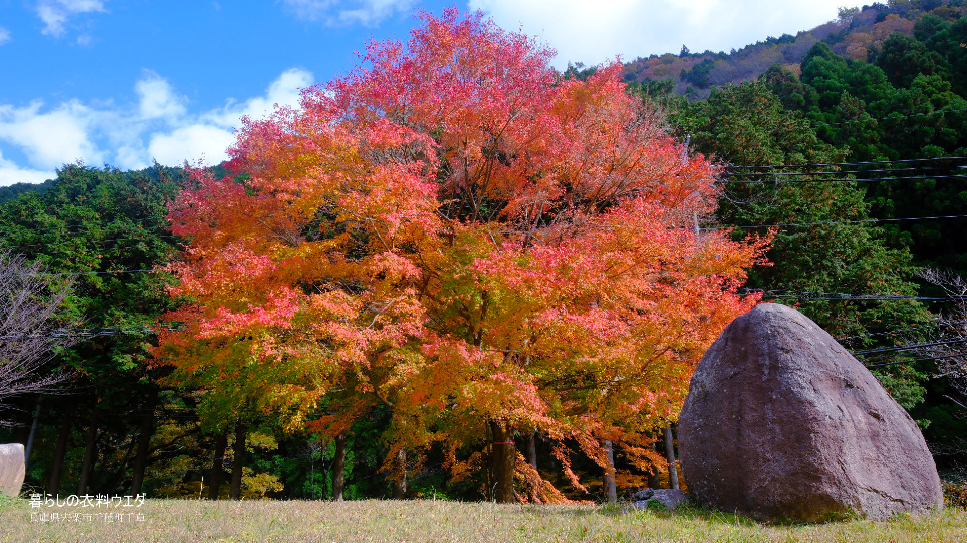 FUJIFILM 富士フイルム X-T5＆XF14mmF2.8 R　紅葉の作例　ベルビア