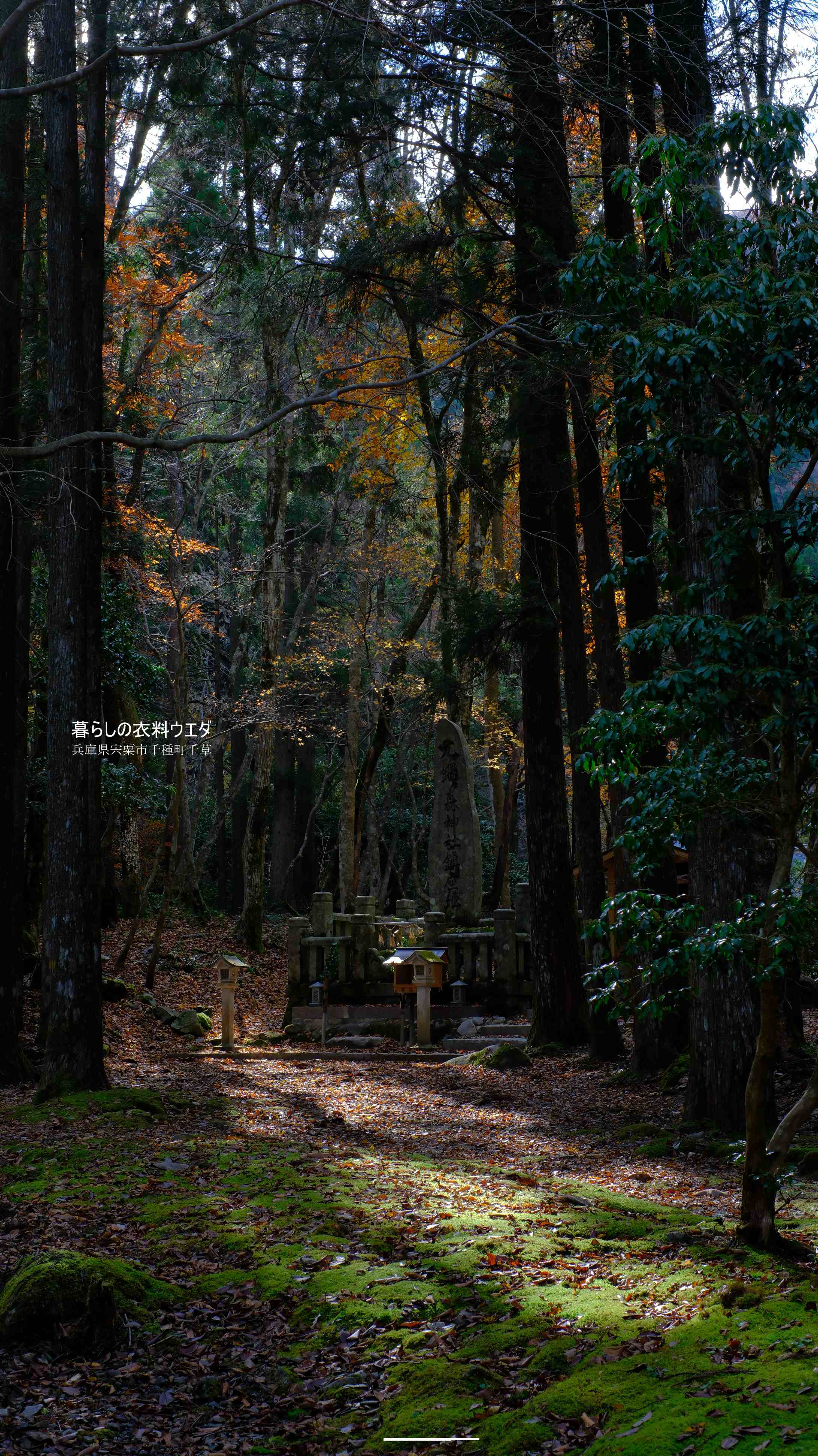X-T5&XF35mmF1.4Rベルビア作例 鍋が森神社