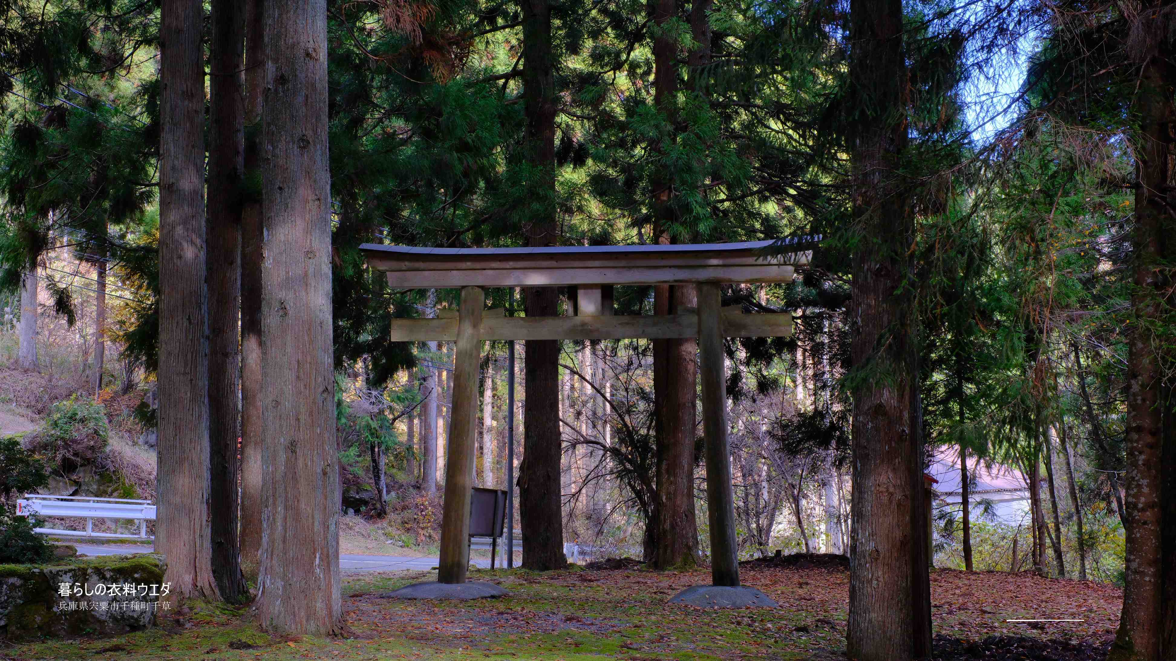 X-T5&XF35mmF1.4Rベルビア作例 鍋が森神社2