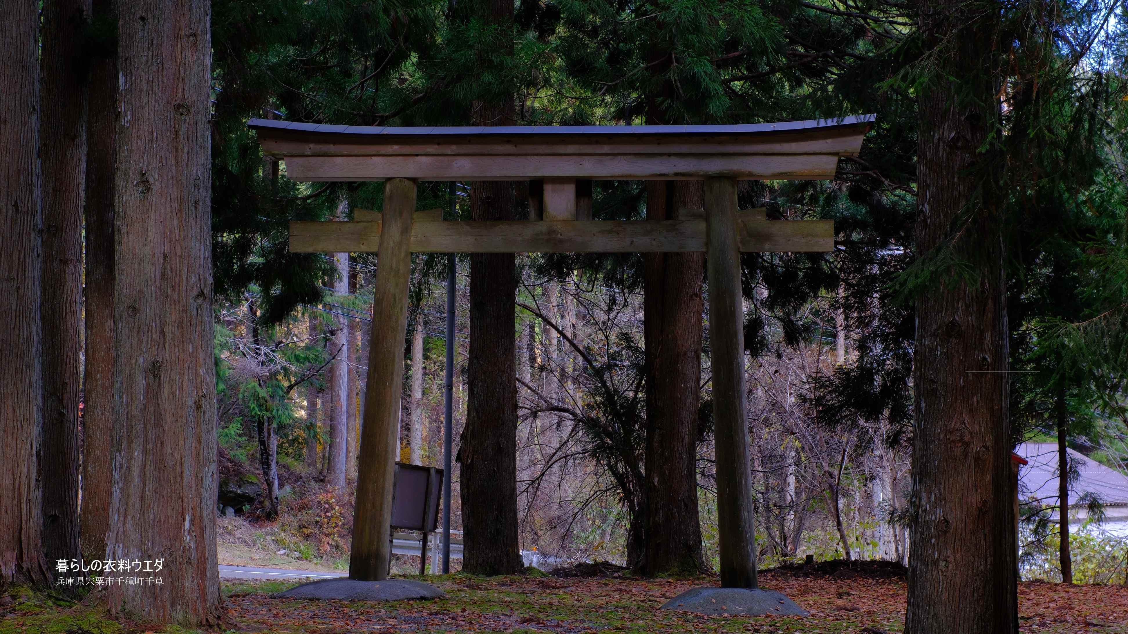 X-T5&XF35mmF1.4Rベルビア作例 鍋が森神社4