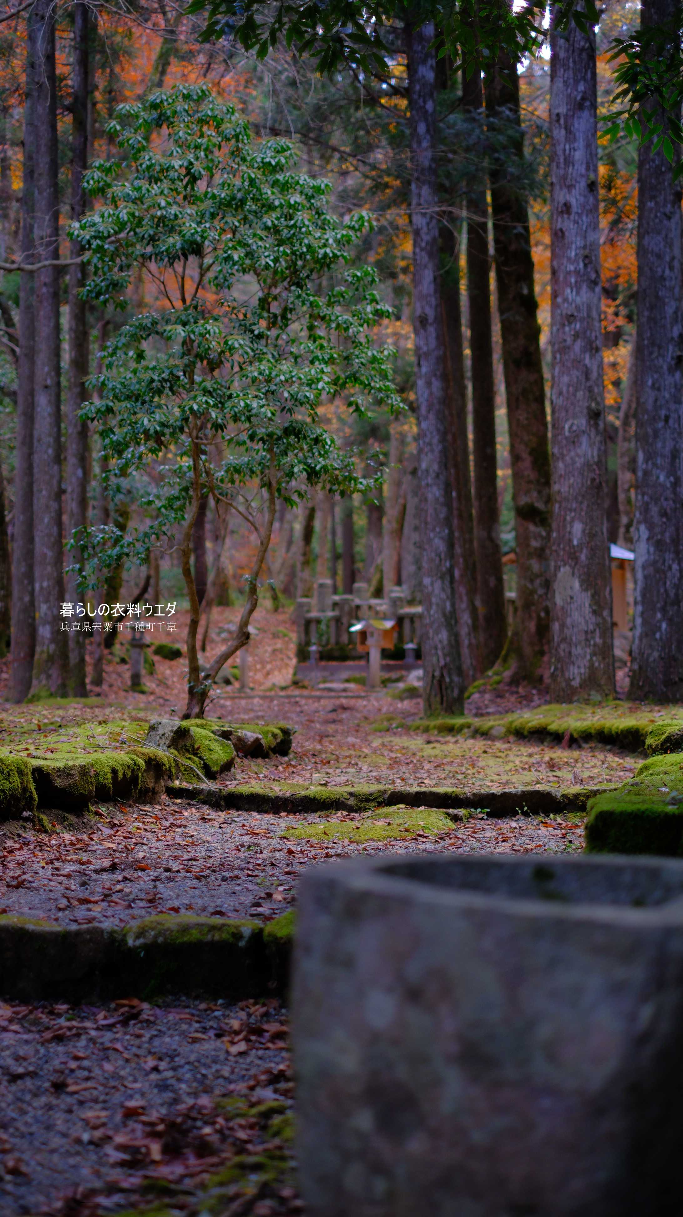 X-T5&XF35mmF1.4Rベルビア作例 鍋が森神社5
