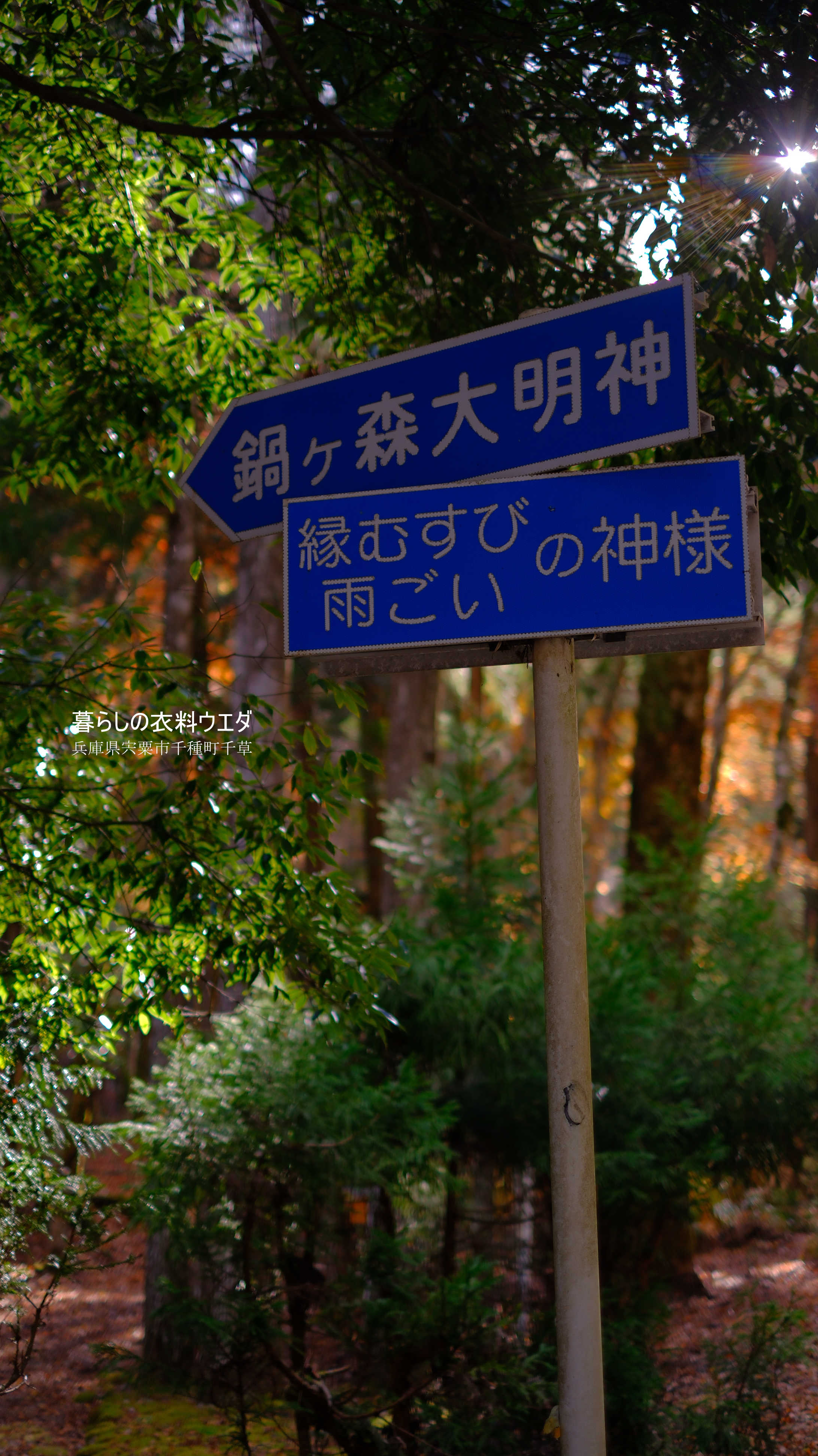 X-T5&XF35mmF1.4Rベルビア作例 鍋が森神社 看板
