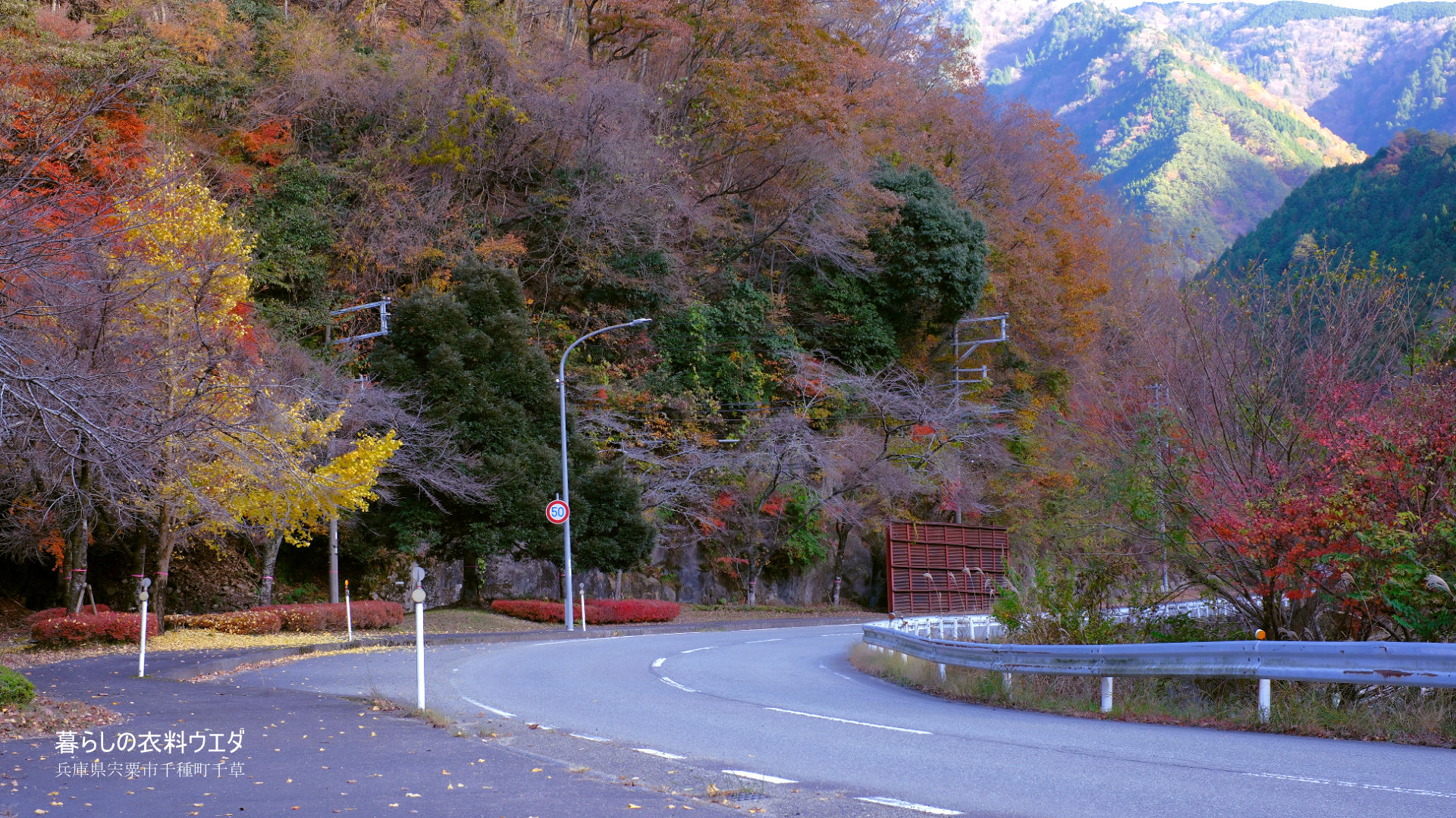 FUJIFILM【富士フイルム】X-T5・XF35mm F1.4 R・XF14mmF2.8 R・ベルビア 作例「いろんな紅葉」　