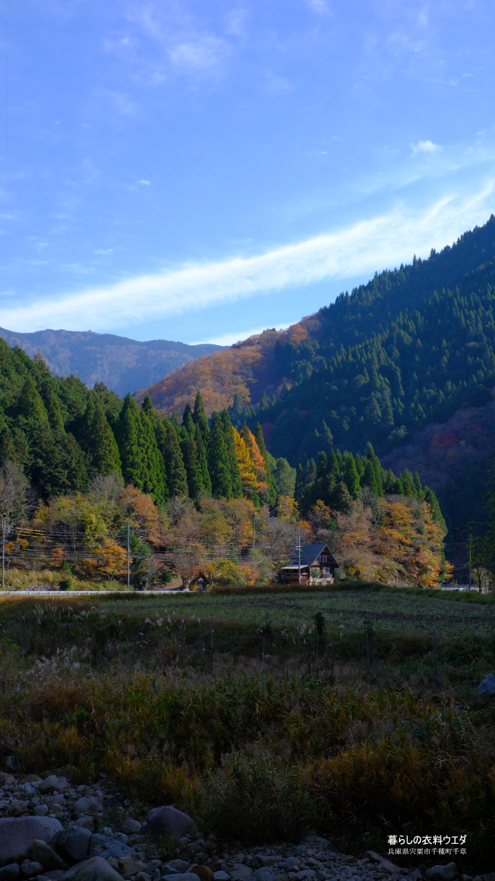 FUJIFILM【富士フイルム】X-T5・XF35mm F1.4 R・XF14mmF2.8 R・ベルビア 作例「いろんな紅葉」　遠景