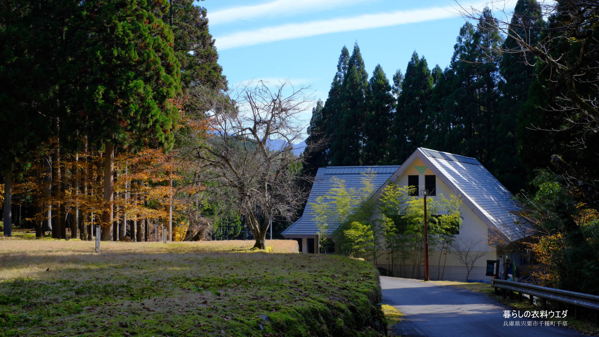 FUJIFILM【富士フイルム】X-T5・XF35mm F1.4 R・XF14mmF2.8 R・ベルビア 作例「いろんな紅葉」　建物