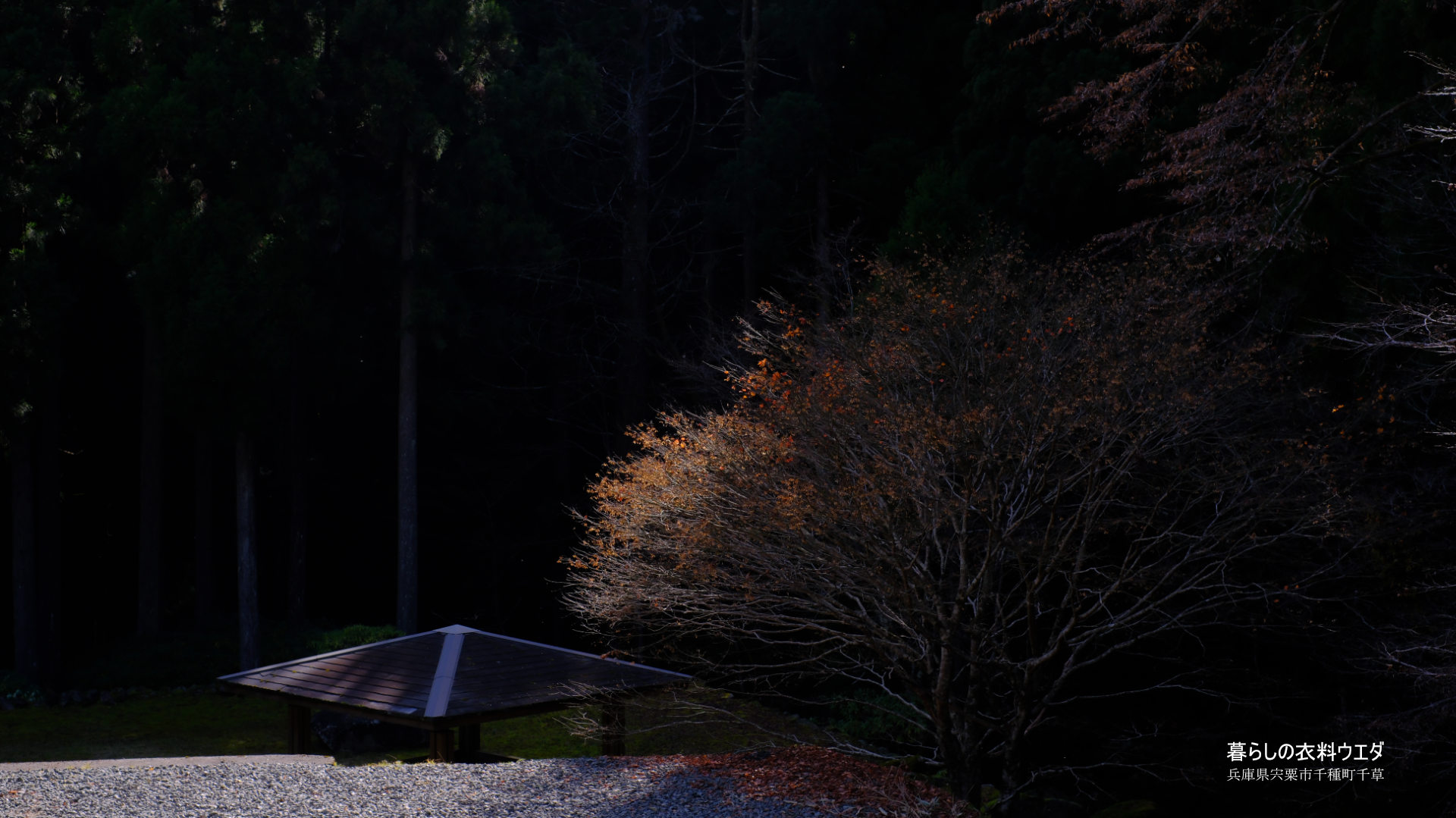 FUJIFILM【富士フイルム】X-T5・XF35mm F1.4 R・XF14mmF2.8 R・ベルビア 作例「いろんな紅葉」　構造物