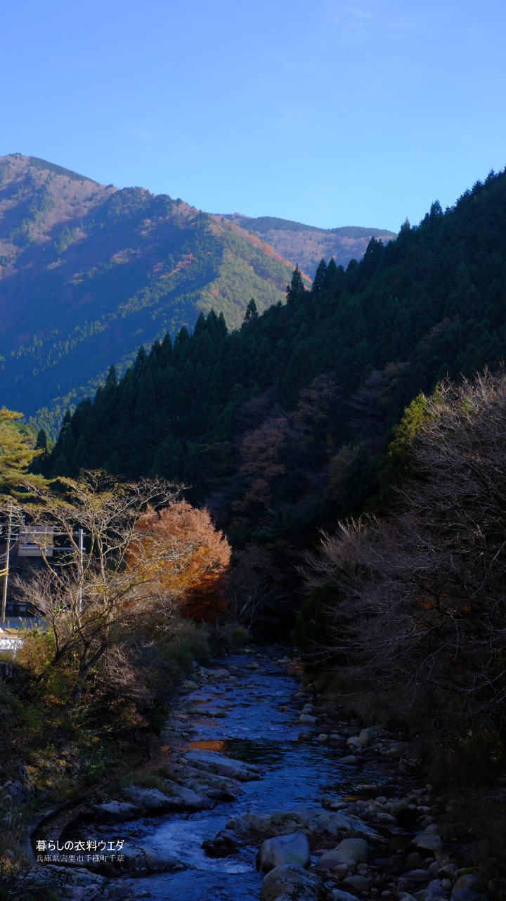 FUJIFILM【富士フイルム】X-T5・XF35mm F1.4 R・XF14mmF2.8 R・ベルビア 作例「いろんな紅葉」　遠景