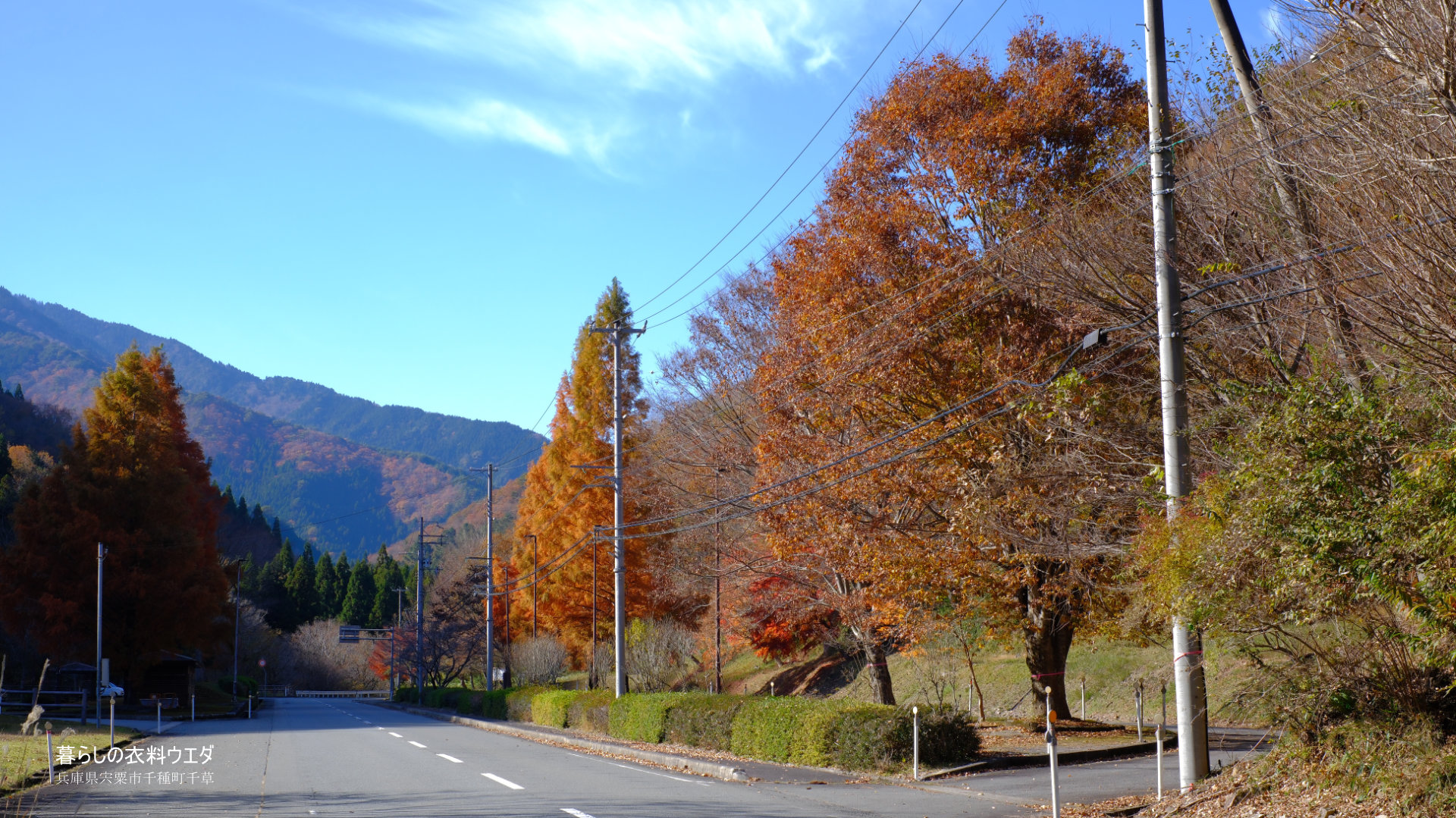 FUJIFILM【富士フイルム】X-T5・XF35mm F1.4 R・XF14mmF2.8 R・ベルビア 作例「いろんな紅葉」　道路