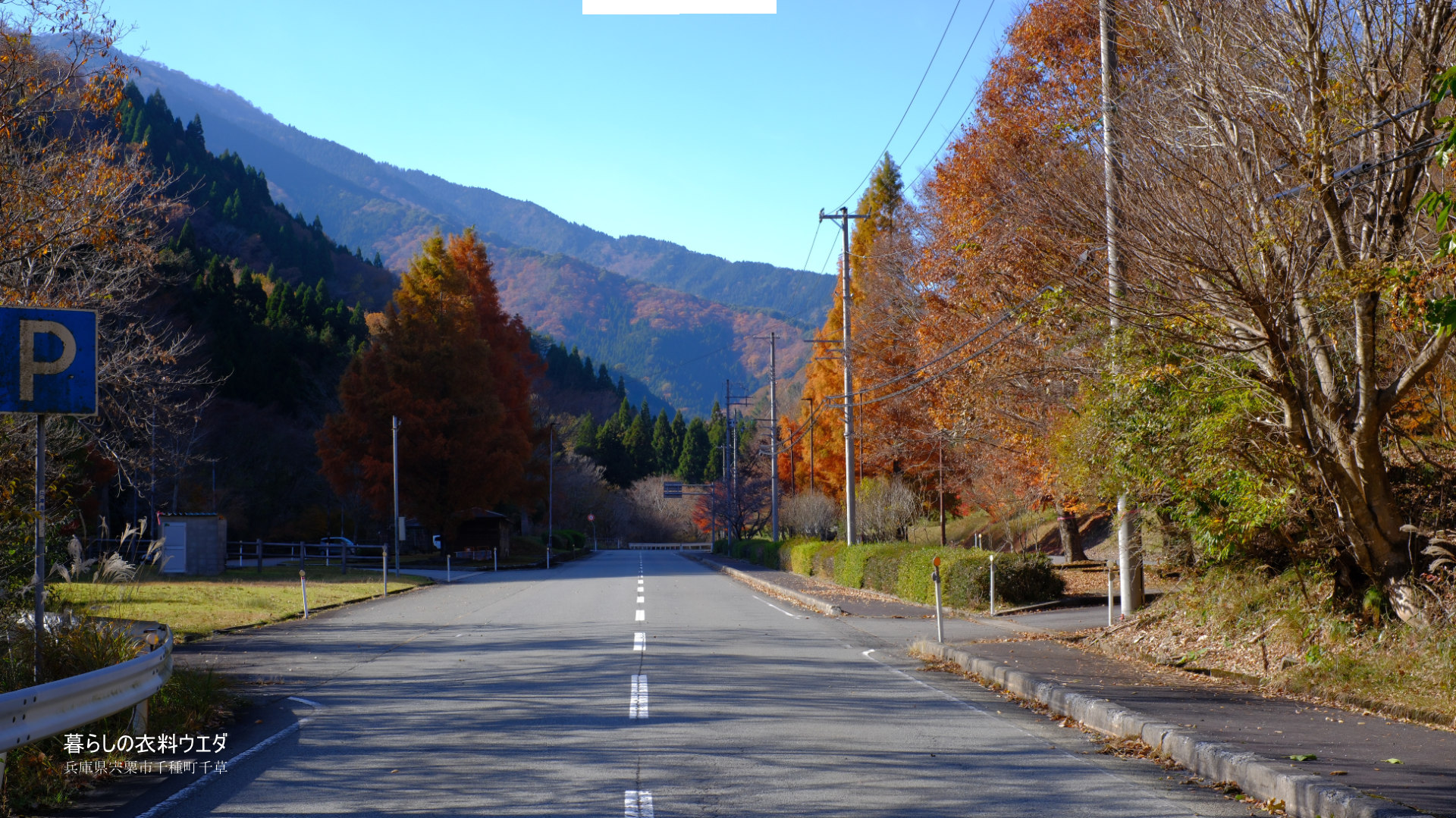 FUJIFILM【富士フイルム】X-T5・XF35mm F1.4 R・XF14mmF2.8 R・ベルビア 作例「いろんな紅葉」　休憩所