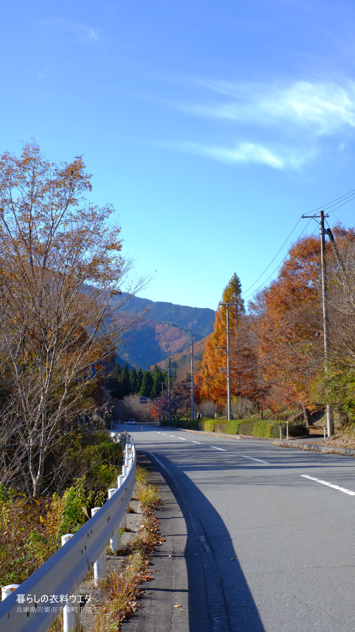 FUJIFILM【富士フイルム】X-T5・XF35mm F1.4 R・XF14mmF2.8 R・ベルビア 作例「いろんな紅葉」　道路